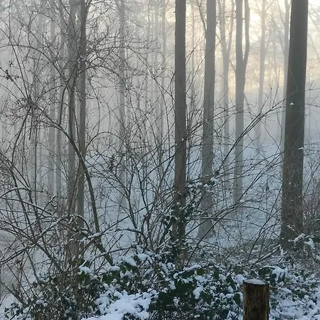 De Bossenaarshoeve